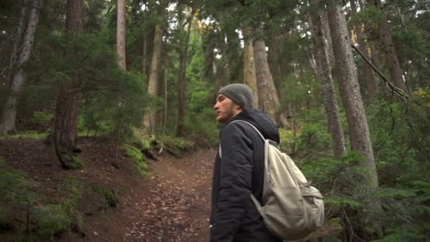 Ein junger gutaussehender Mann, der friedlich die schöne Waldzeitlupe bewundert — Stockvideo