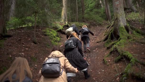 Um grupo de turistas subindo a colina na bela floresta câmera lenta — Vídeo de Stock