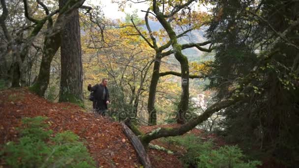 Tre unga kvinnor med ryggsäckar promenader i en vacker skog slow motion — Stockvideo