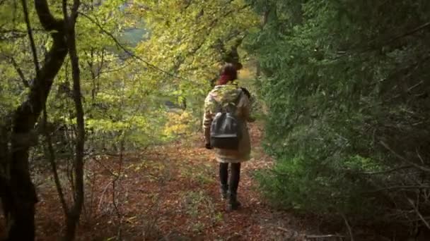 Uma jovem caminhando na bela floresta com uma mochila em câmera lenta — Vídeo de Stock