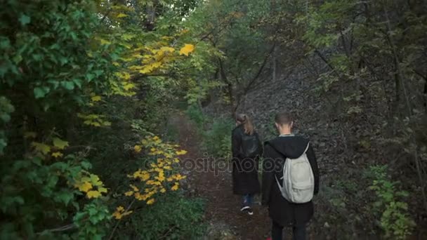 Ein junges Paar spaziert durch den Wald und bewundert die Umgebung — Stockvideo
