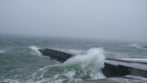 Une forte tempête hivernale à la mer avec d'énormes vagues, de la neige et du vent au ralenti — Video