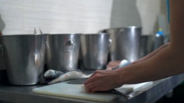 Genç kadın yunuslar dolphinarium yavaş hareket için gıda hazırlama