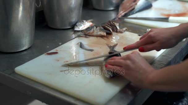 Jovem mulher cortando peixe para golfinhos em câmera lenta de golfinho — Vídeo de Stock