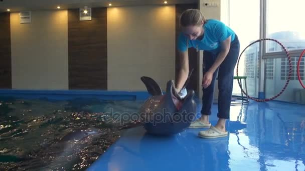 Mulher acaricia um golfinho no chão no dolphinarium câmera lenta — Vídeo de Stock