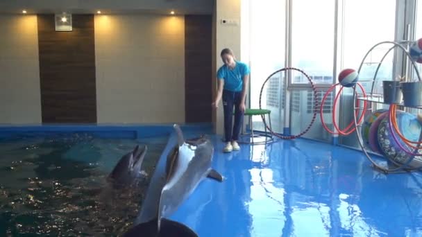 Lindo delfín saltando en el suelo y el entrenador le da un pez cámara lenta — Vídeo de stock
