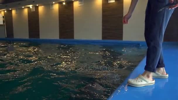 Vrouw aanraken dolfijnen neus en hij volgt haar hand slow-motion — Stockvideo