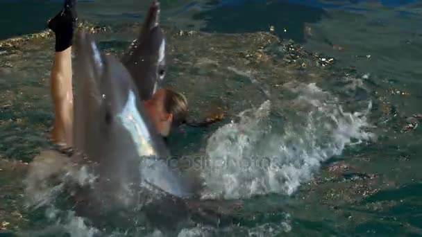 Mujer girando con delfines sosteniendo sus aletas en la piscina cámara lenta — Vídeo de stock