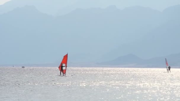 Man windsurfing on the beautiful background slow motion — Stock Video