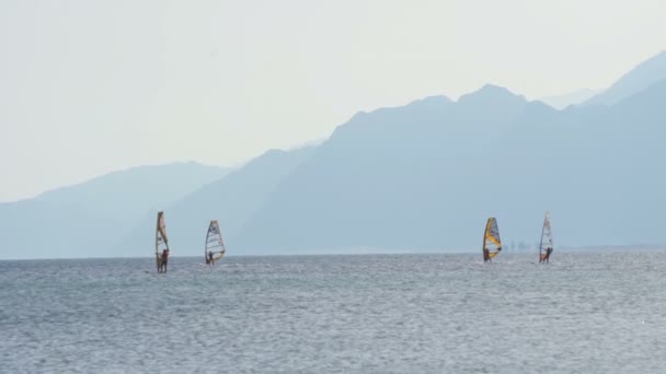 Vier Personen beim Windsurfen im Meer Zeitlupe — Stockvideo