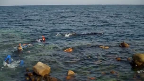 Група людей, які плавають у морі повільний рух — стокове відео