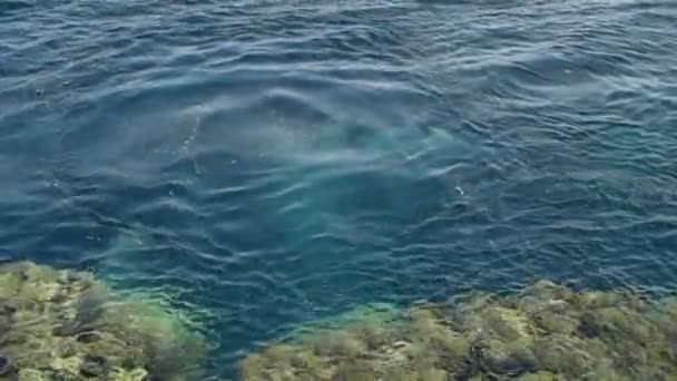 Красочные волны на поверхности воды замедленного движения — стоковое видео