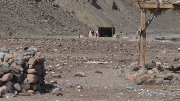 Un abri solitaire dans le désert rocheux au ralenti — Video