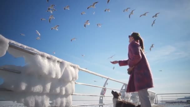 Jovem atraente alimenta gaivotas no mar congelado com seu cão câmera lenta — Vídeo de Stock