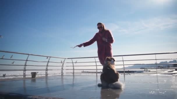Joven atractiva alimenta gaviotas en el mar congelado con su perro cámara lenta — Vídeos de Stock