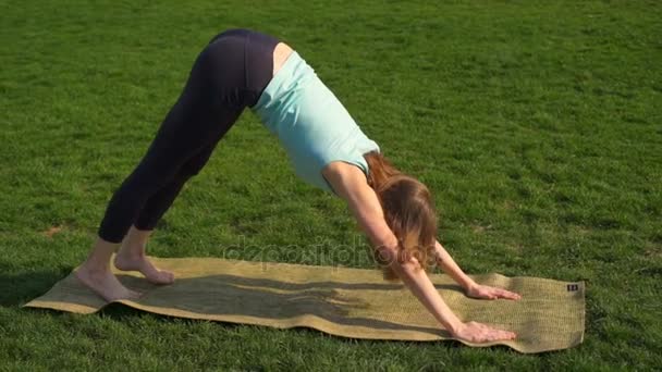 Young slim female doing yoga on lawn upward dog pose slow motion — Stock Video