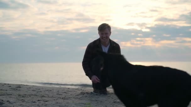 Young male sits near paying dog at the sea slow motion — Stock Video