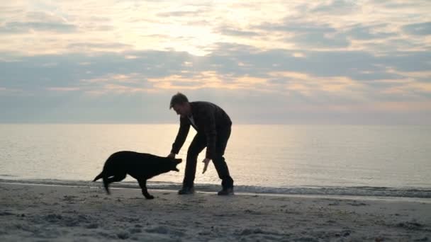 Ung hane leker med sin svarta valp på havet slow motion — Stockvideo