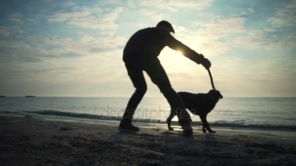 Joven macho juega con su cachorro perro con madera en el mar cámara lenta — Vídeos de Stock
