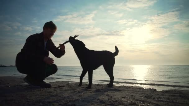 Jonge mannelijke gooit stuk hout naar de zee zijn hond slow-motion — Stockvideo