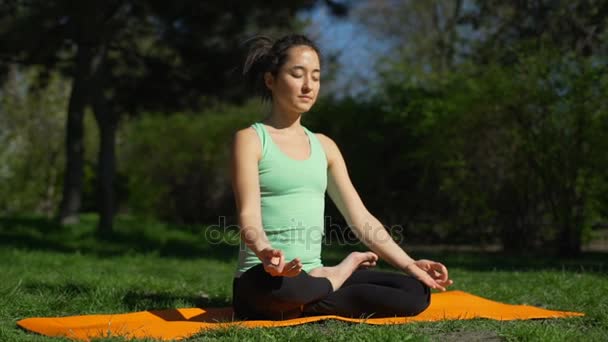 Mulher flexível bonita meditando na pose de lótus na floresta câmera lenta — Vídeo de Stock