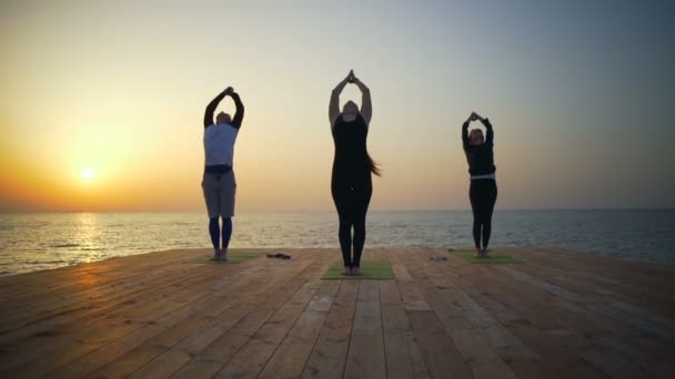 Vänner gör yoga på trä piren på havet slow motion — Stockvideo