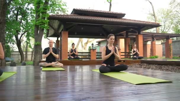 Grupo de personas sentadas en la pose de loto y meditando en cámara lenta — Vídeos de Stock