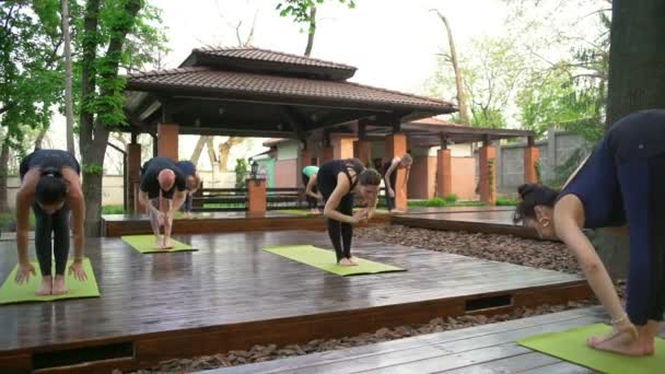 Gruppe von Menschen beugt sich dem Yoga-Training in Zeitlupe den Rücken zu — Stockvideo