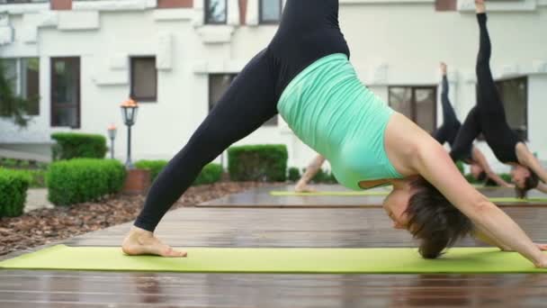 Group of people standing in the downward-facing dog position slow motion — Stock Video