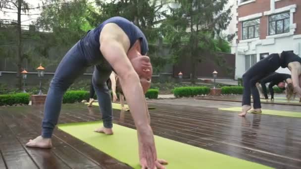 Group of people doing a yoga exercise slow motion — Stock Video