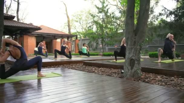 Gruppe von Menschen, die in der einbeinigen Königstaubenpose in Zeitlupe stehen — Stockvideo