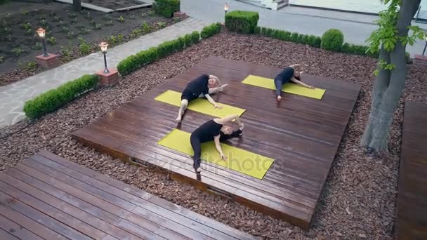 Grupo de pessoas sentadas na cabeça ao joelho pose drone footage — Vídeo de Stock