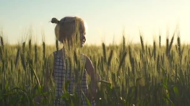 Bambina camminare attraverso un campo di grano da solo rallentatore — Video Stock