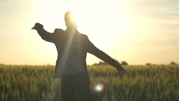 Aantrekkelijke zakenman staan in veld en documenten gooien in slowmotion lucht — Stockvideo