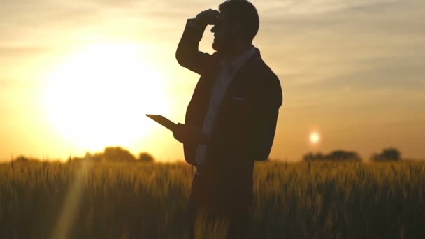 Empresário com tablet PC no campo olhando para horizontal sunsetslow motion — Vídeo de Stock