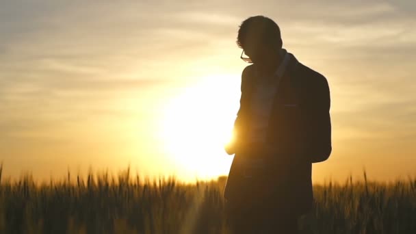 Uomo d'affari con tablet PC si rallegra sul campo al tramonto rallentatore — Video Stock