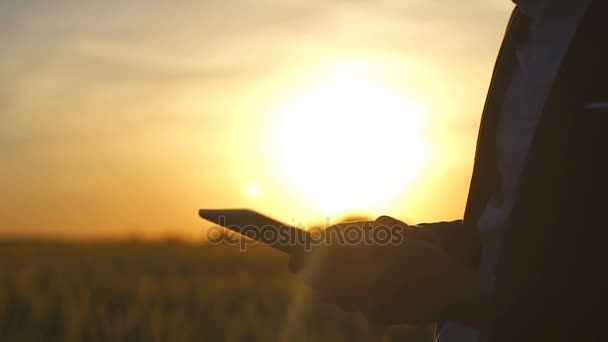 Man in pak met tablet Pc op de zonsondergang in het veld close-up in slow motion — Stockvideo
