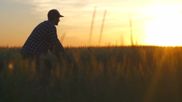 Giovane uomo in bicicletta in un campo e godersi la bellezza del tramonto rallentatore — Video Stock