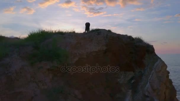 Pacifico saúde menina fazendo ioga meditar nascer do sol costa namaste drone footage — Vídeo de Stock