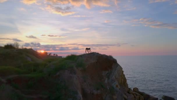 Flexibla hälsa flicka träna yoga meditera sunrise kusten namaste drone footage — Stockvideo