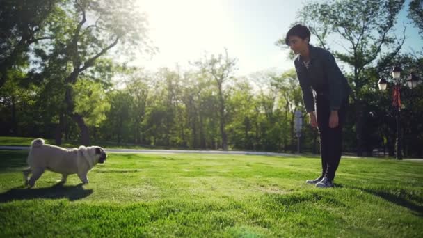 Joven hermosa chica elegante acariciar perro de pug crianza parque verano sol cámara lenta — Vídeo de stock