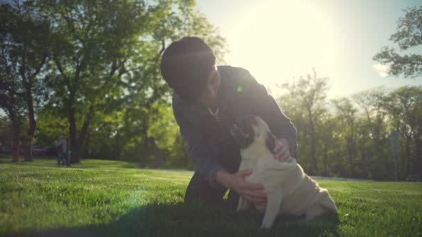 Joven hermosa chica caricia feliz cachorro pug crianza parque verano sol cámara lenta — Vídeos de Stock