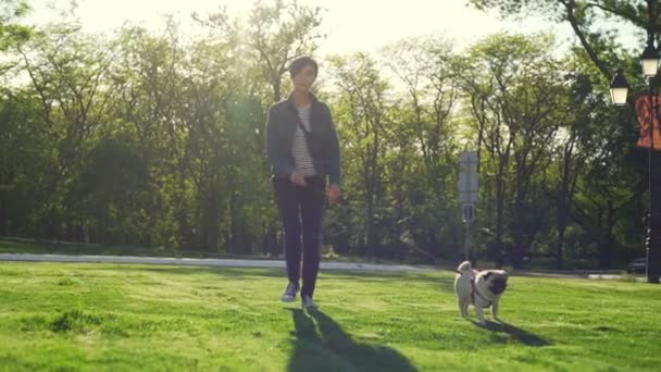 Junge stilvolle Mädchen Spaziergang mit Hund Mops Rasse grün Park Sonne Sommer Zeitlupe — Stockvideo