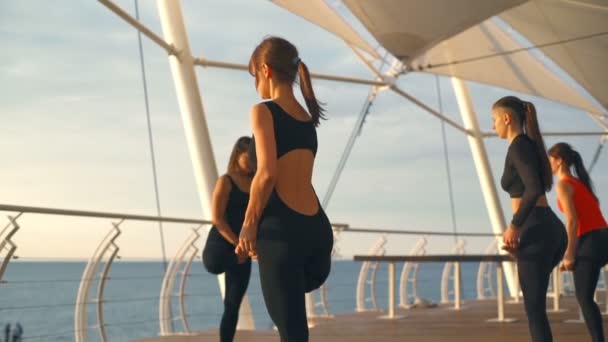 Yoga classe mulher grupo prática ioga Vriksasana árvore Pose pôr do sol mar câmera lenta — Vídeo de Stock