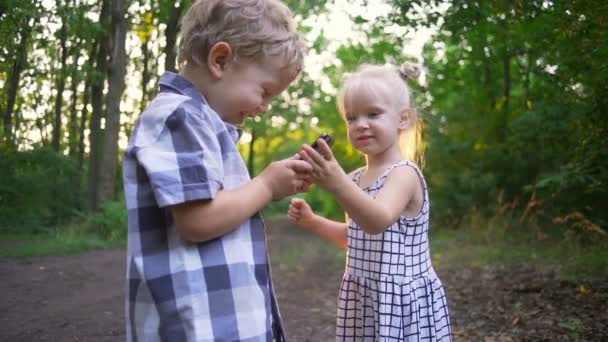 Niños niño y niña juntos usando el teléfono inteligente soleado parque de cámara lenta rápida — Vídeos de Stock