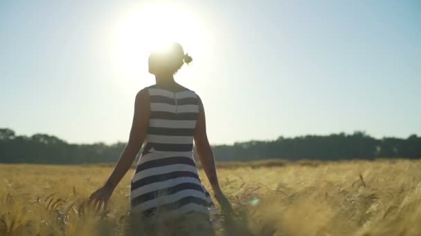 Młoda kobieta pasiasty strój ręką dotknąć pszenicy spacerem pola słoneczny szybkiego zwolnionym tempie — Wideo stockowe