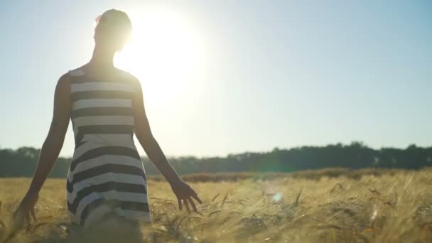 Chica joven vestido a rayas mano toque trigo caminar campo soleado rápido cámara lenta — Vídeos de Stock