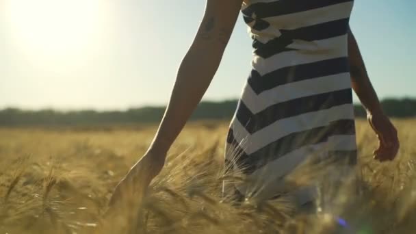 Mujeres mano corriendo a través de campo de trigo rayas vestido soleado rápido cámara lenta — Vídeos de Stock