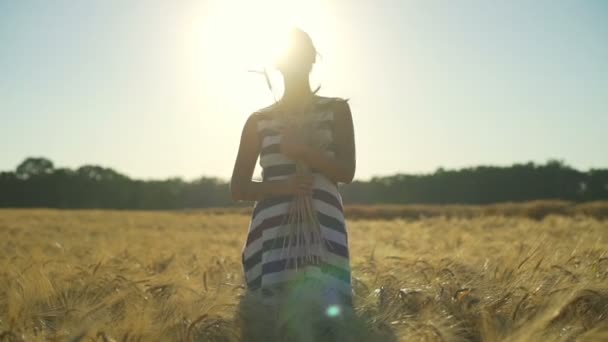 Jovem sorrindo menina vestido listrado com bando de trigo campo sol movimento lento rápido — Vídeo de Stock