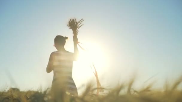 Jonge vrouw lopen veld boeket tarwe rood lint fladdert zon snelle langzame motie — Stockvideo